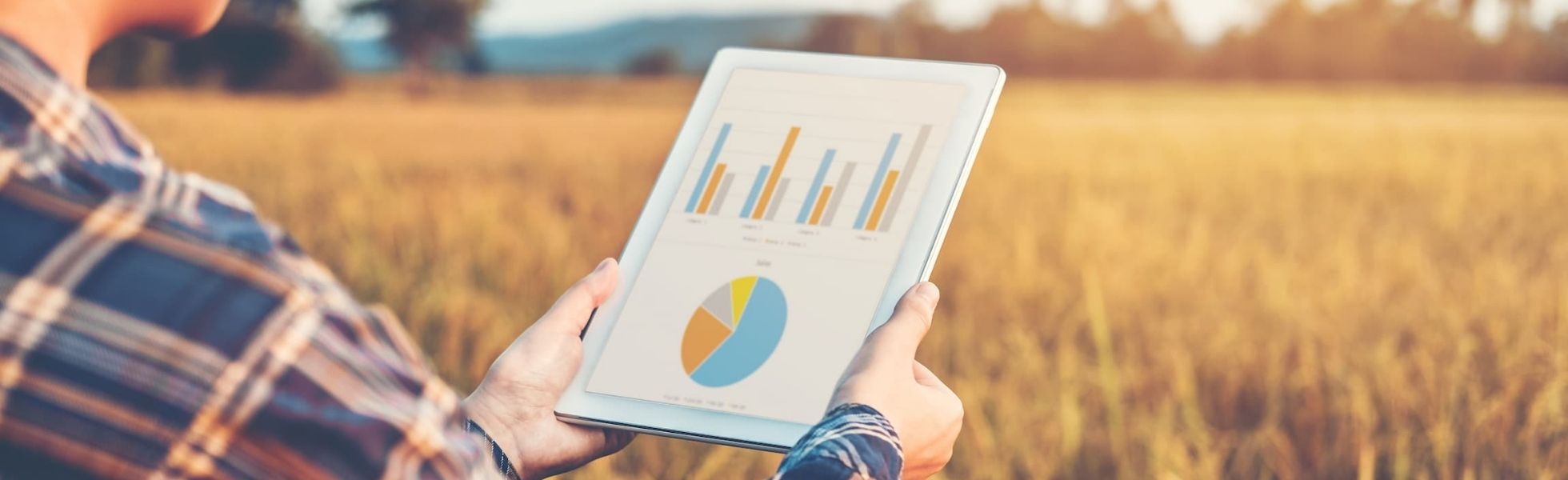 Leia mais sobre o artigo Mais oportunidades: mercado de crédito no agronegócio avança